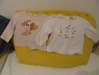 T-shirts manches longues Tape à l'oeil taille 12 mois