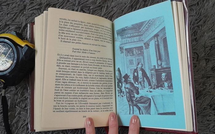 Madame Bovary - Flaubert - photo numéro 5