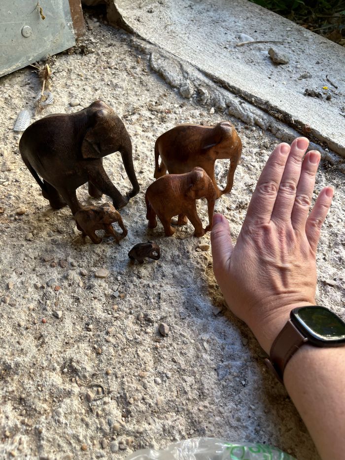 Éléphants - photo numéro 3