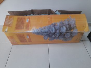 Sapin