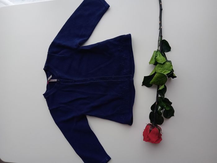 Gilet bleu marine 9 mois - photo numéro 2