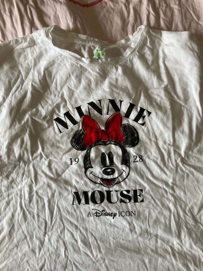 Minnie grande taille - photo numéro 5