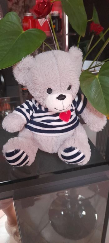 Ours peluche