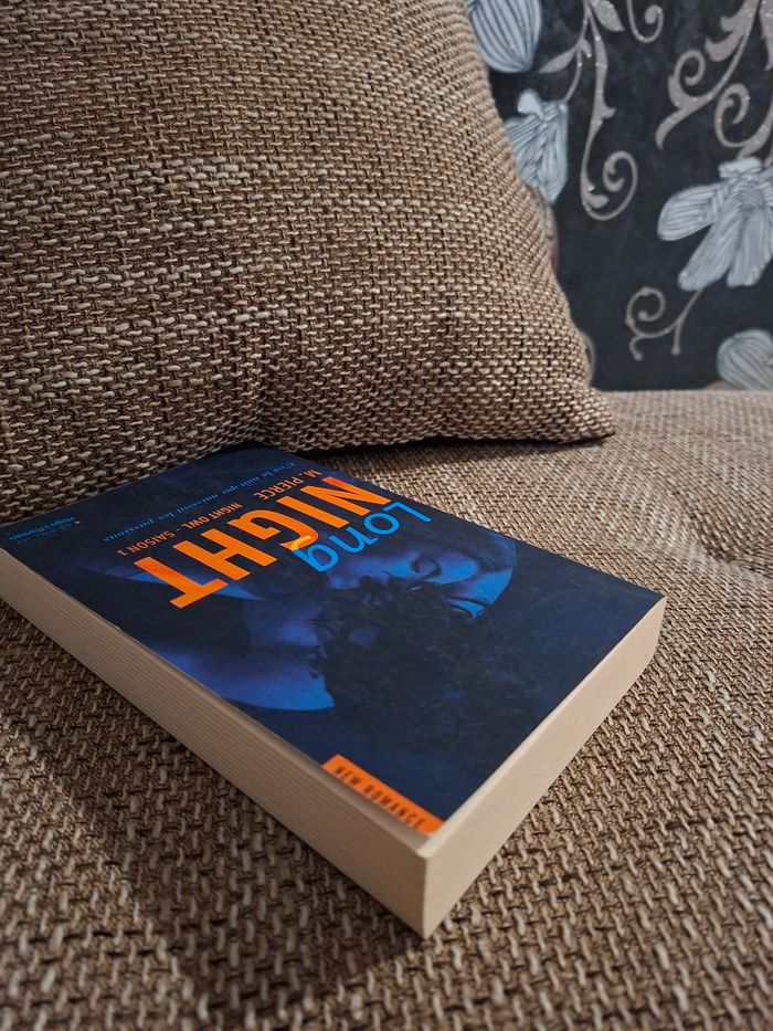 Long night de M. Pierce - photo numéro 4
