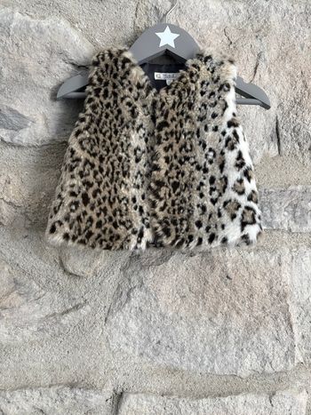 Gilet 