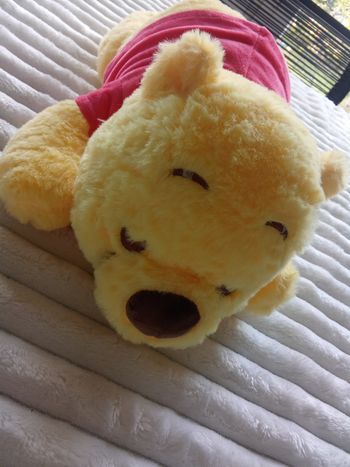 Peluche Winnie l'ourson 