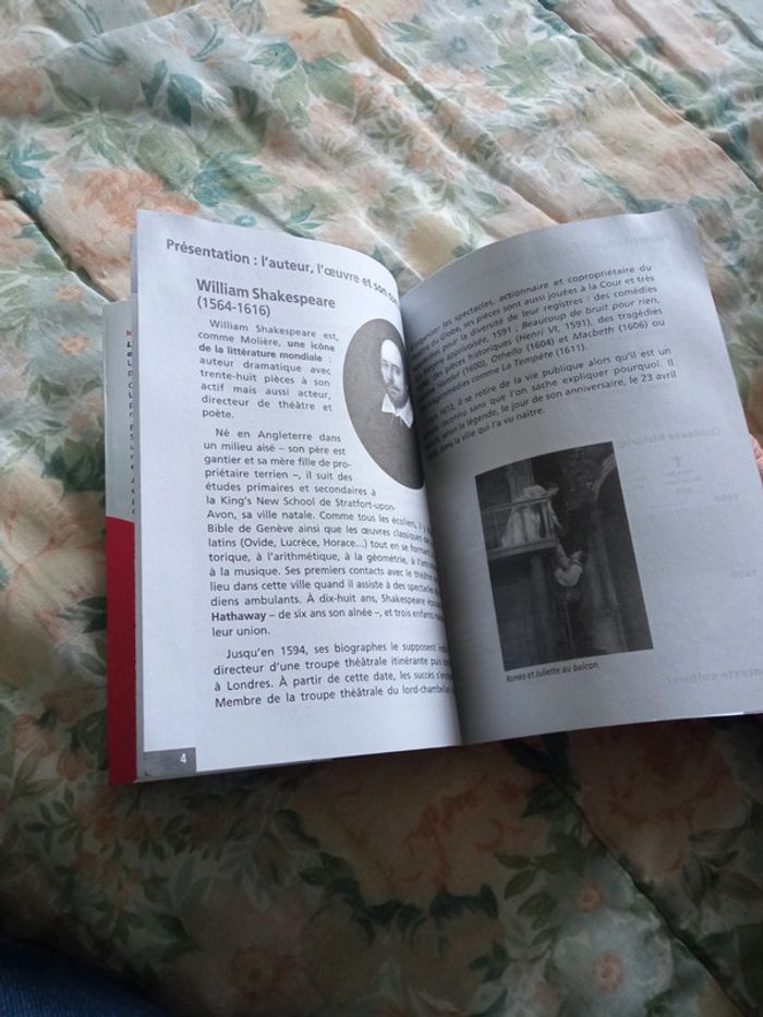 Romeo et Juliette - photo numéro 5