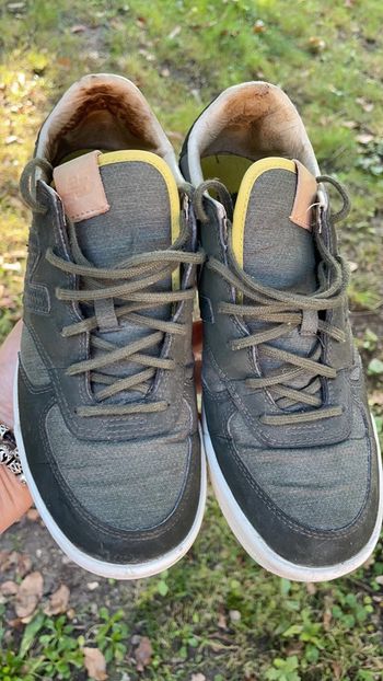 Baskets NB