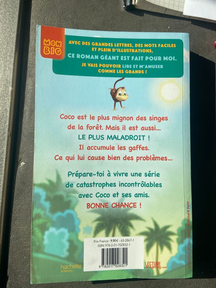 Livre coco catastrophe - photo numéro 2