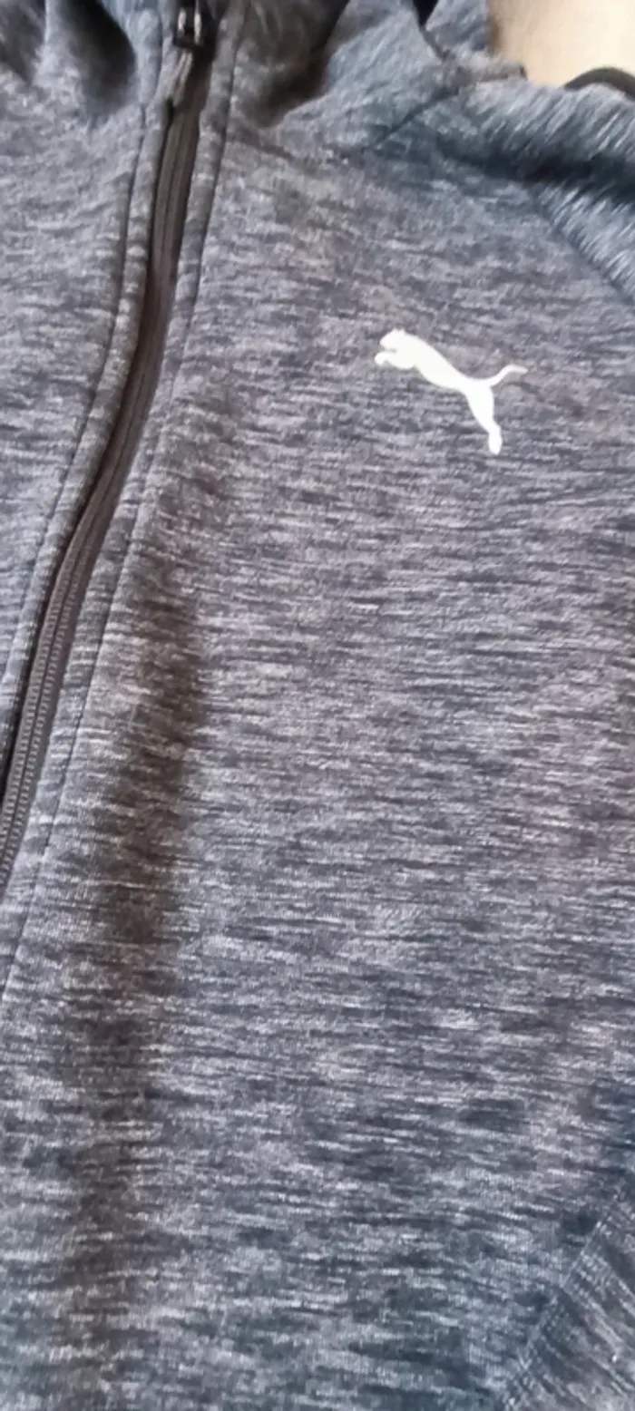 sweat zippé à capuche 13-14 ans PUMA - photo numéro 2