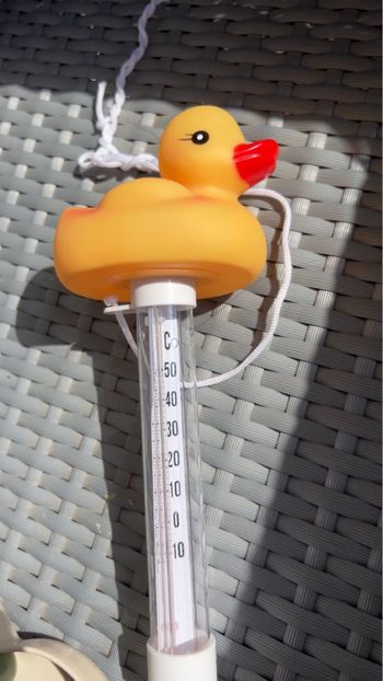 Thermomètre canard bain bébé