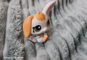 Petshop lapin 1417