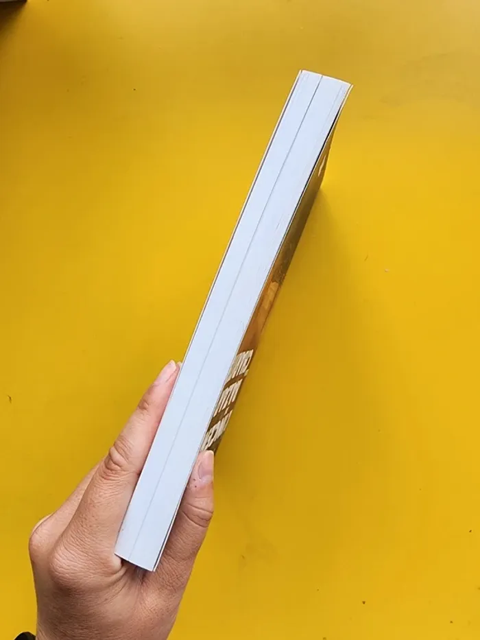 Livre broché "l'incendie du bazar de la charité" de Bruno Fuligni - photo numéro 5