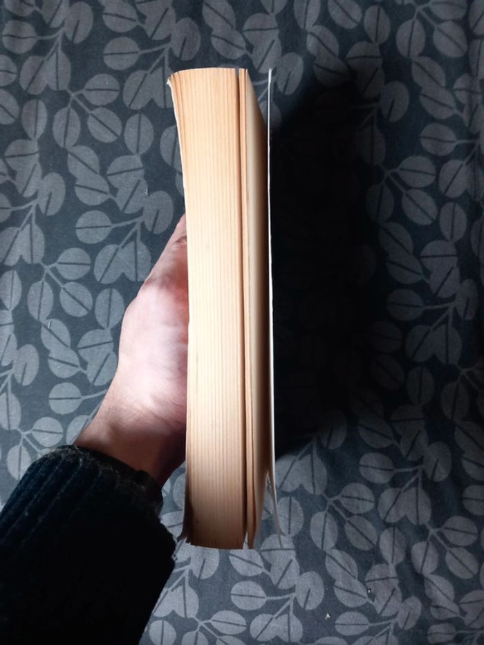 La force du bouddhisme - photo numéro 4