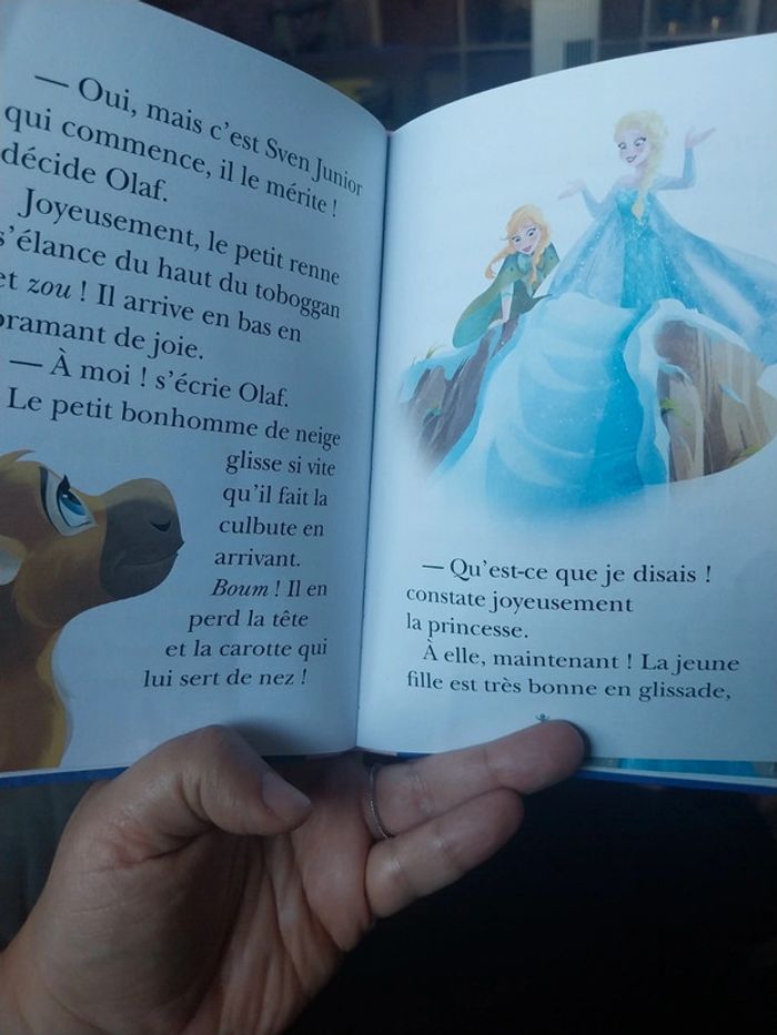 La reine des neiges : le festival de l hiver - photo numéro 3