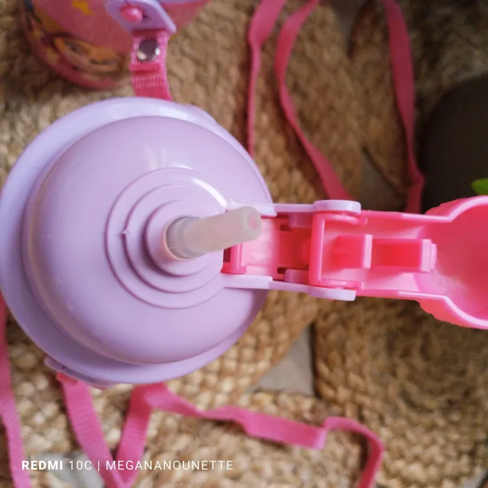 🐶 Lot x2 Gourdes Paw Patrol – Lien de Transport Intégré – Bon État Général - photo numéro 5