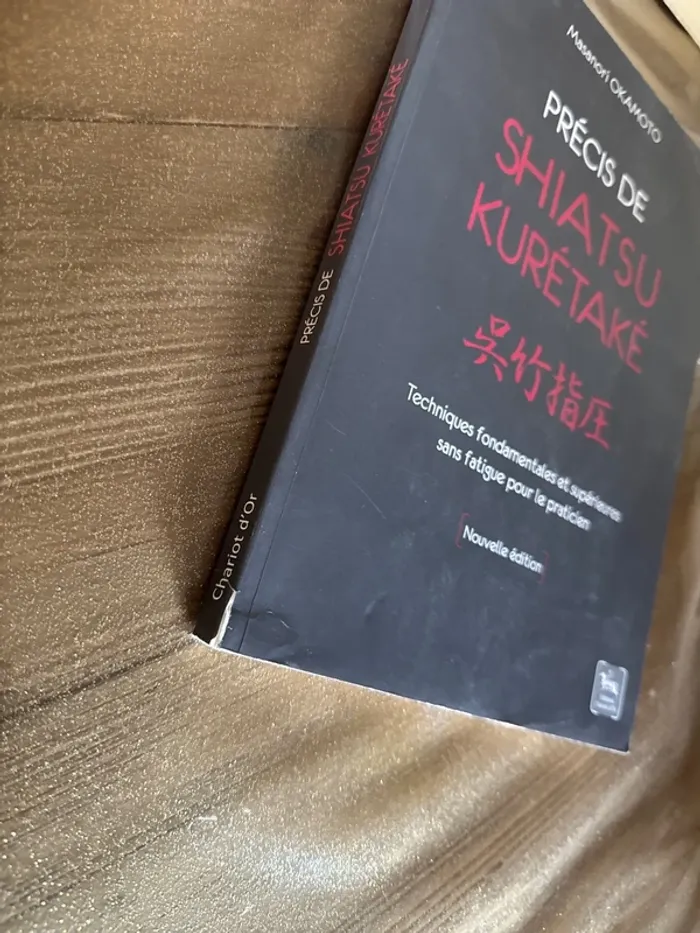 Livre précis de shiatsu kuretake - photo numéro 3