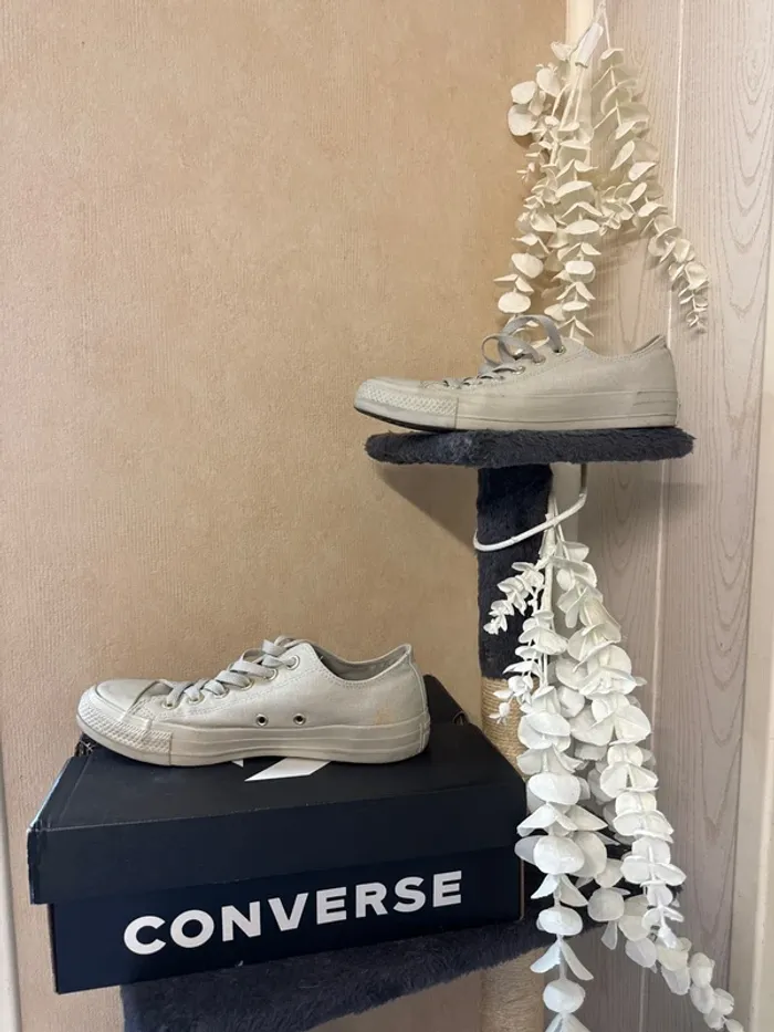 Baskets basses femme 38