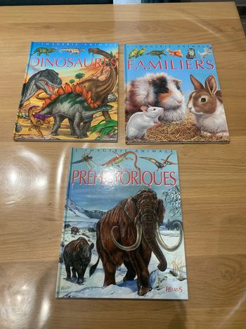 L’imagerie animale