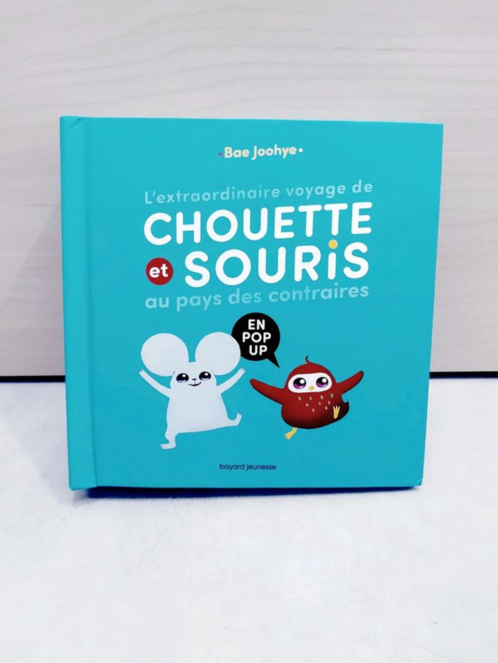 📚 Livre pup up : L'extraordinaire voyage de chouette et souris au pays des contraires