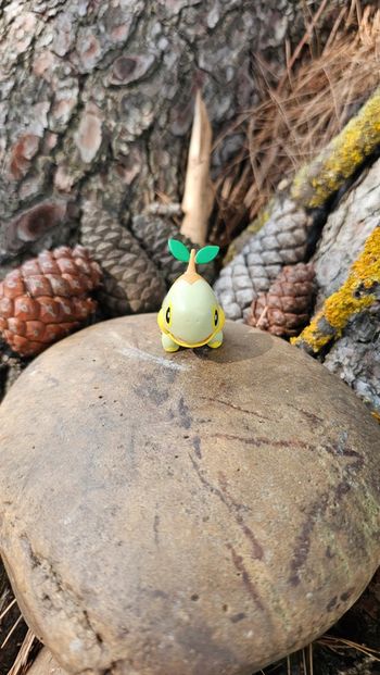 Super figurine Pokemon Nintendo tortipouss