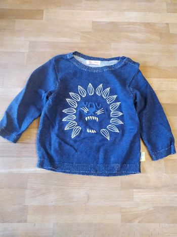 Pull lion 9mois dpam