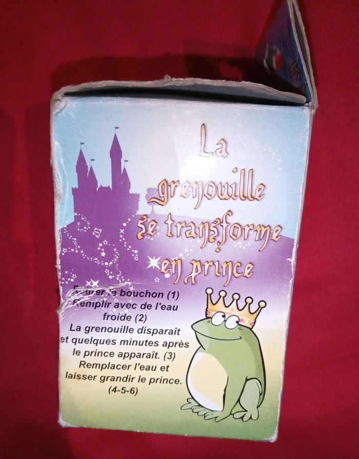 Grenouille enchanté 🐸 - photo numéro 3