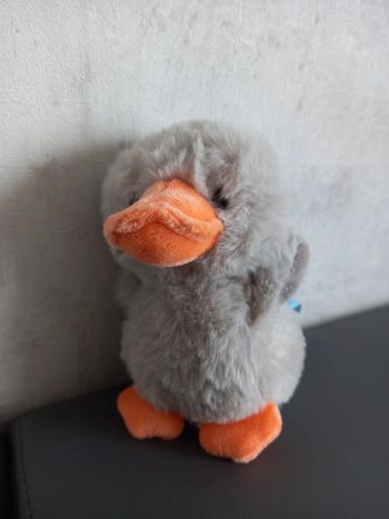 Poussin
