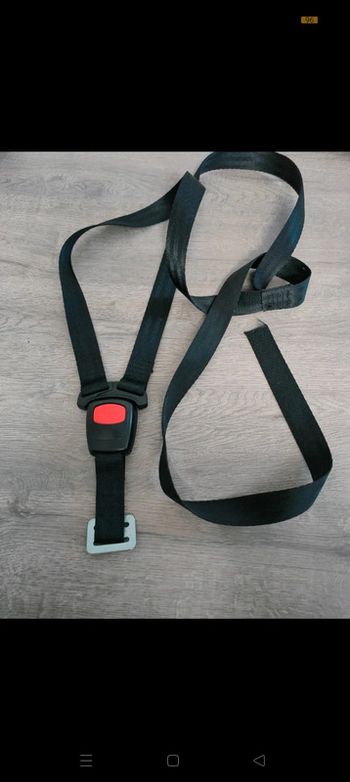 Ceinture de sécurité cosy siège auto bébé confort universel
