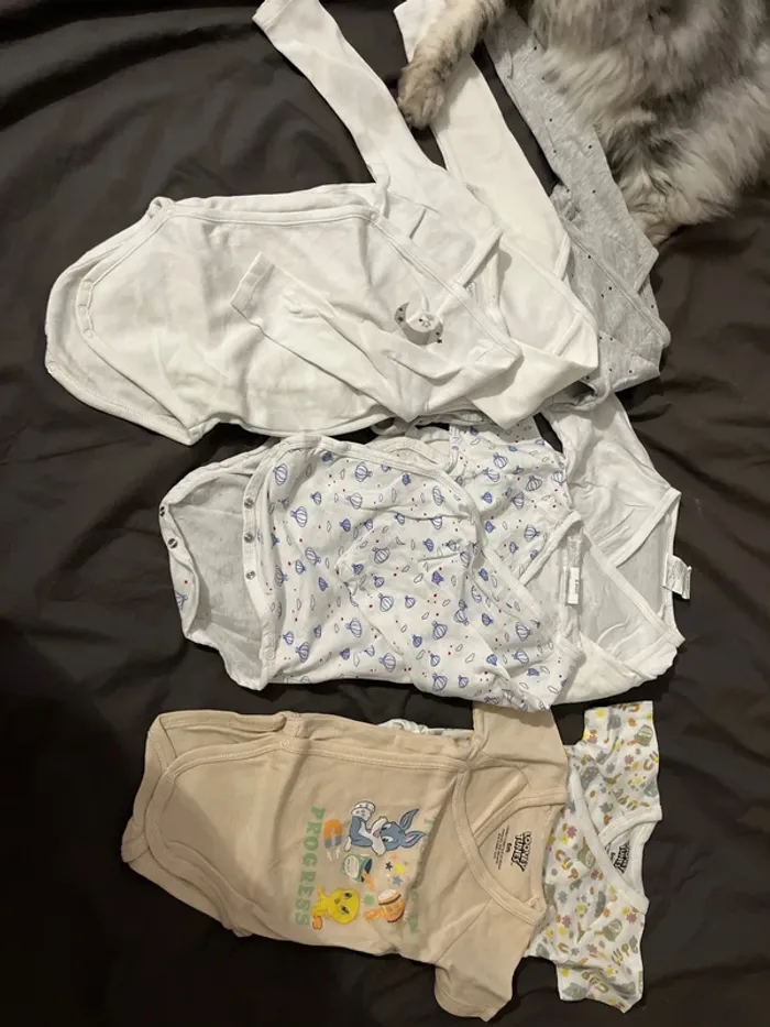 Lot 7 body
