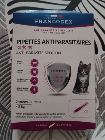 Accessoire pour chat