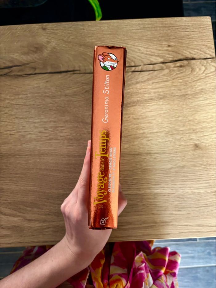 Livre Geronimo Stilton Hors collection : Le Voyage dans le temps / Parfait pour les Enfants - photo numéro 3