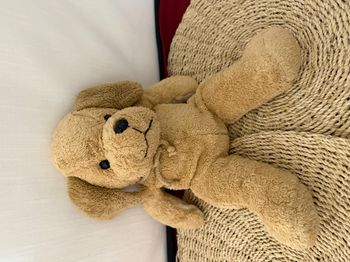 doudou chien beige cordelette cou