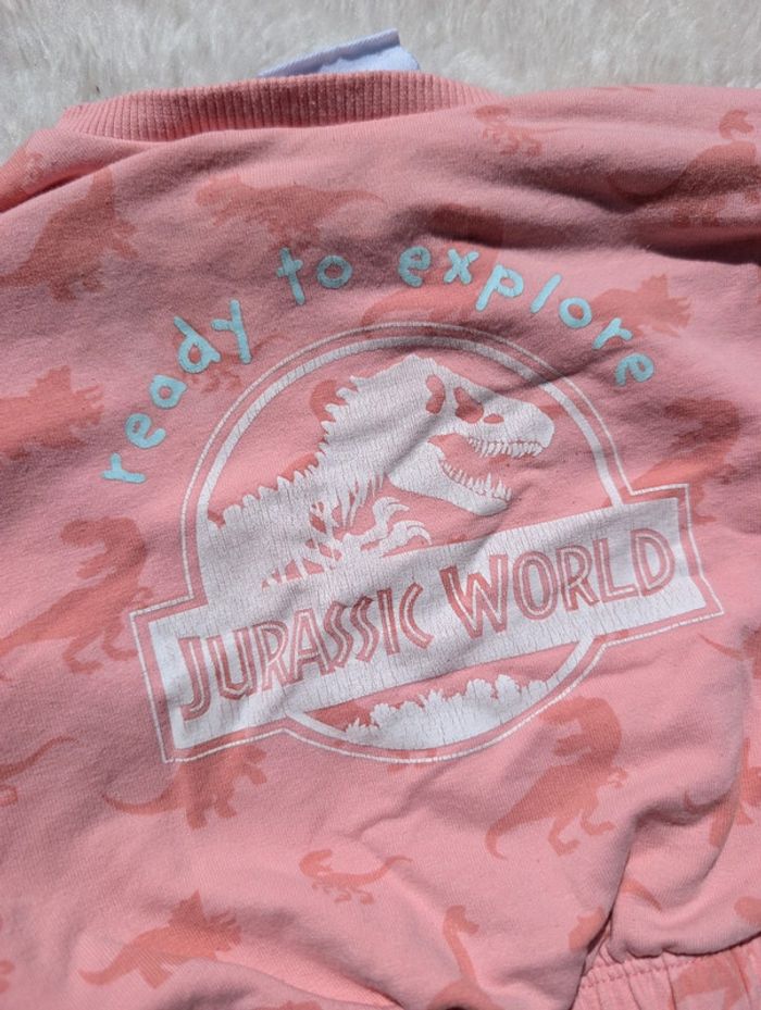 Ensemble Jurassic parc rose 6 mois - photo numéro 5