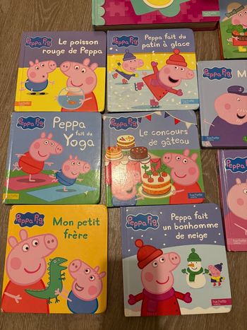 Lot 16 livres Peppa pig