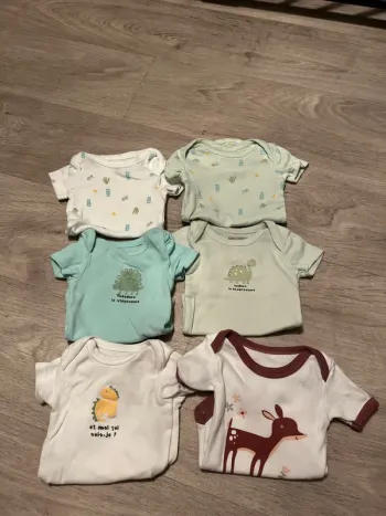Lot 6 bodies