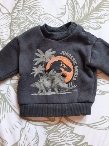 Sweat jurassic world 0/3mois