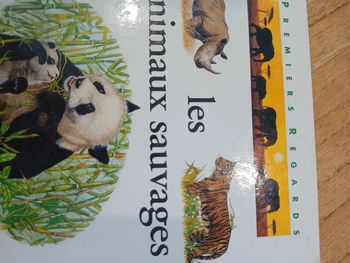livre "les animaux sauvages" collection premiers regards