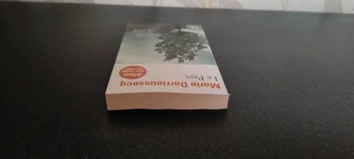 livre: le pays - photo numéro 6