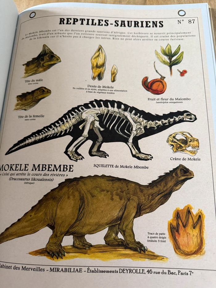 Plume de Carotte Créatures fantastiques Deyrolle livre grand album encyclopédie - photo numéro 14