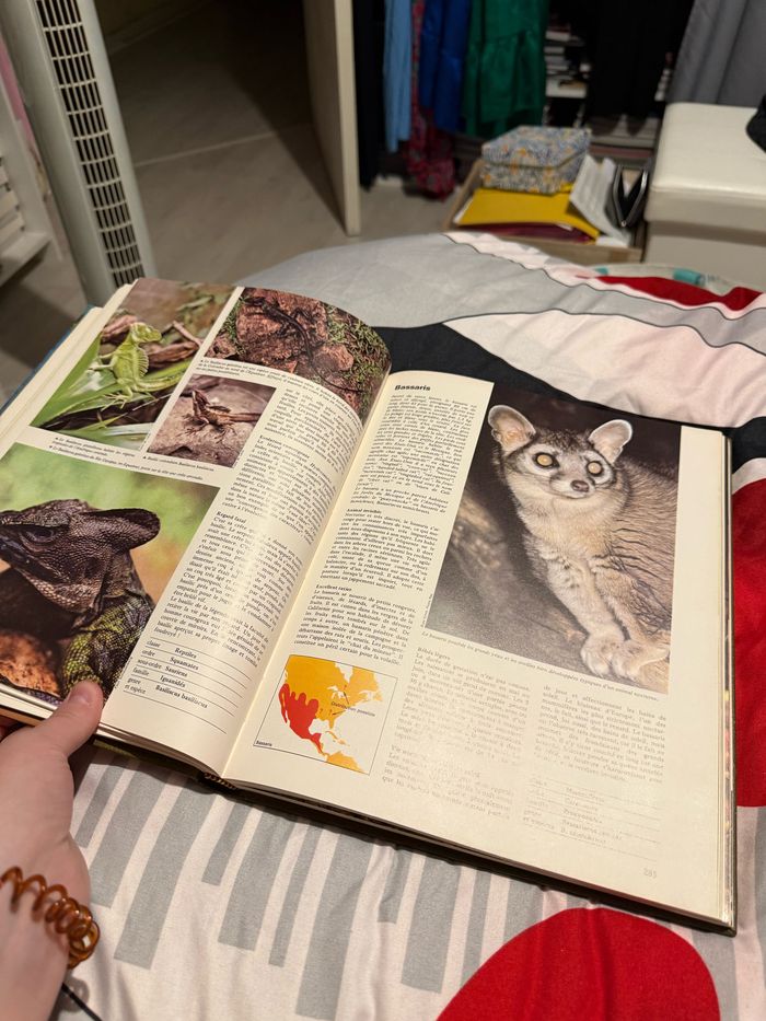 Royaume des animaux volume 2 - photo numéro 7