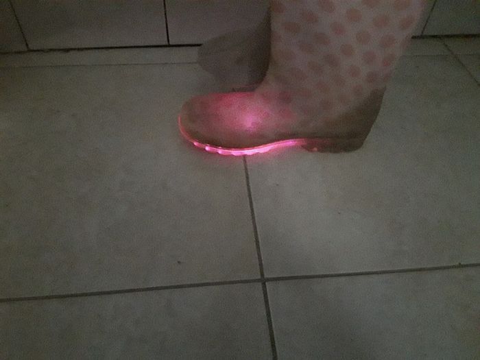 Botte et croque - photo numéro 5