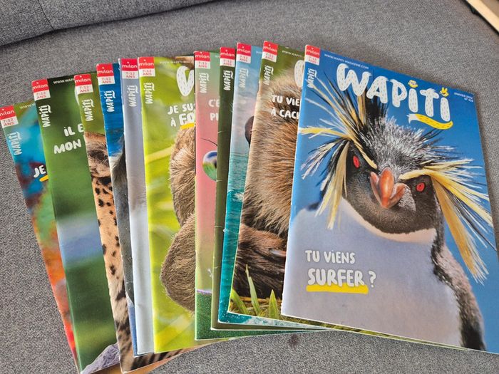 Lot de 11 wapiti