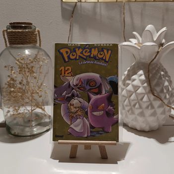 Manga pokémon la grande aventure tome 12