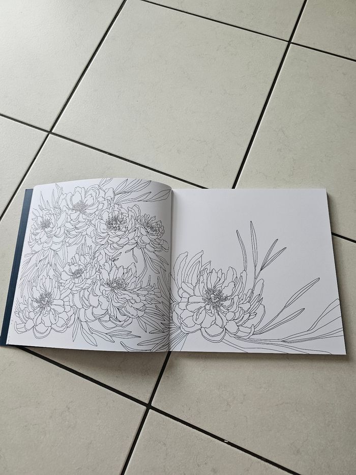 Livre de coloriage zen - photo numéro 2