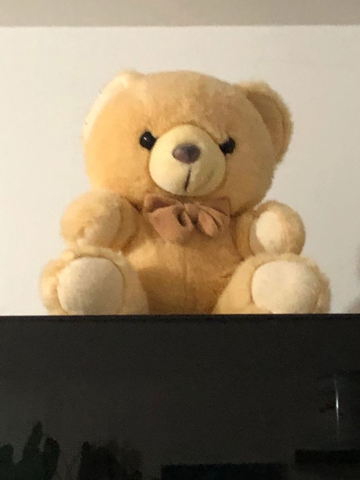 Famille nombreuse de nounours - photo numéro 3