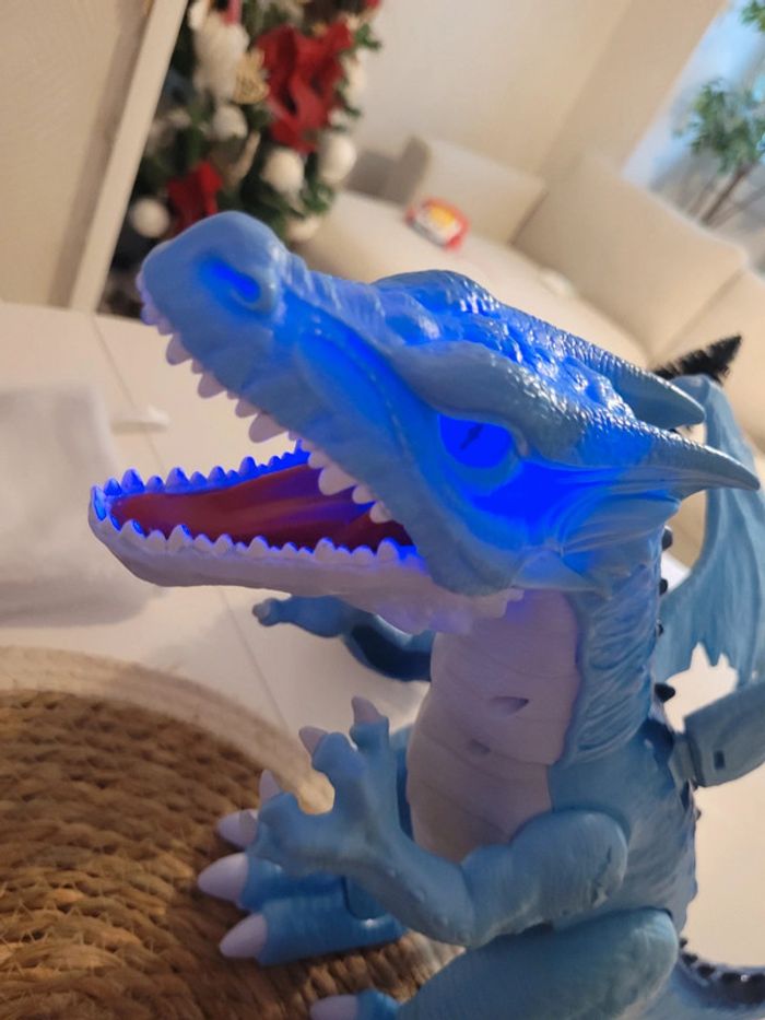 Dragon - photo numéro 2