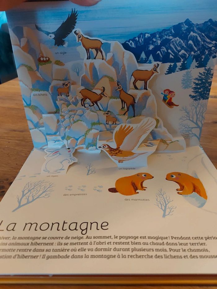 Les animaux autour du monde - photo numéro 10