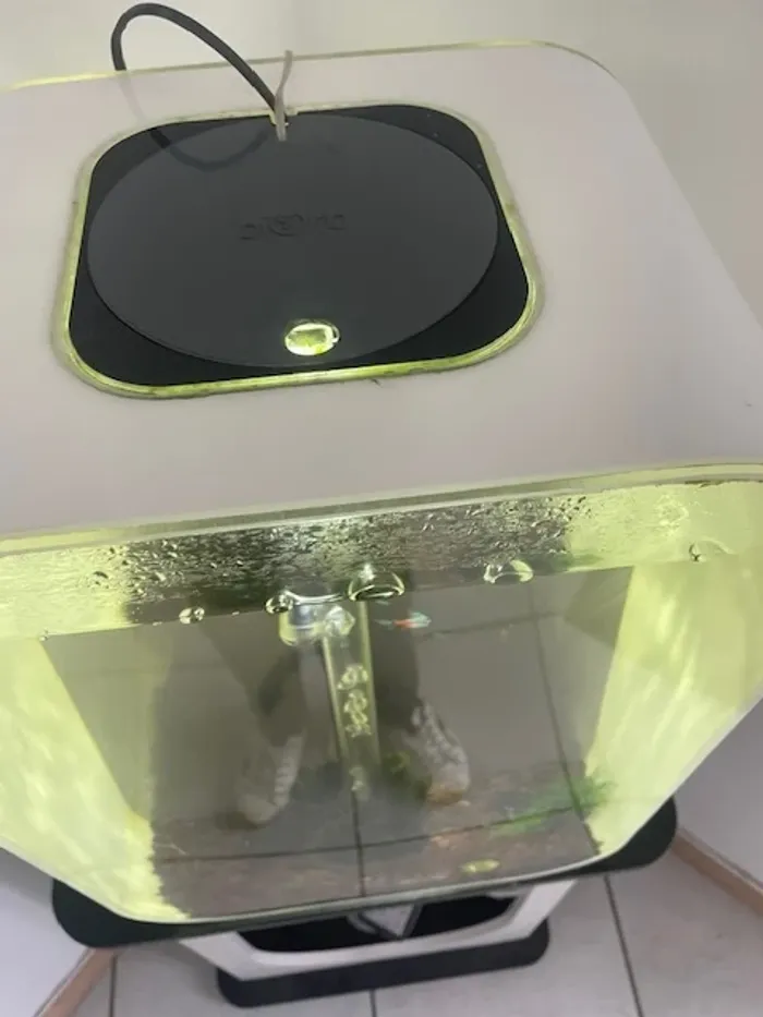 Aquarium biorb - photo numéro 2