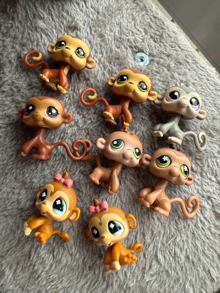 Lot petshop singe - photo numéro 2